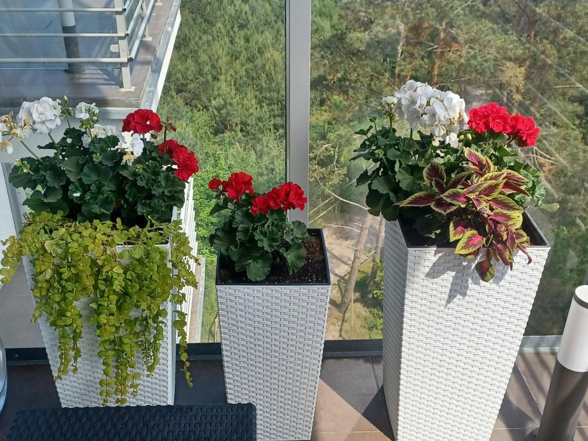 Apartament Z Widokiem Na Morze Дзівнувек Екстер'єр фото