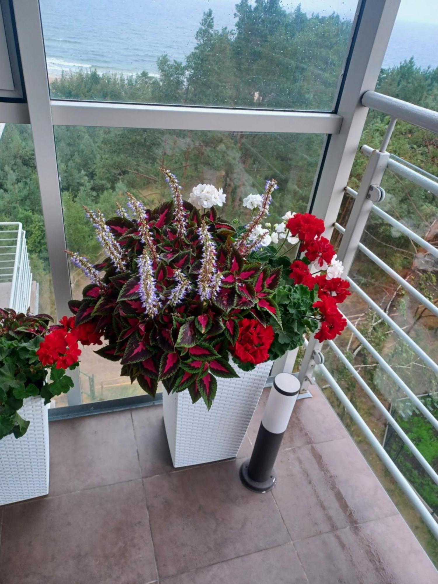 Apartament Z Widokiem Na Morze Дзівнувек Номер фото