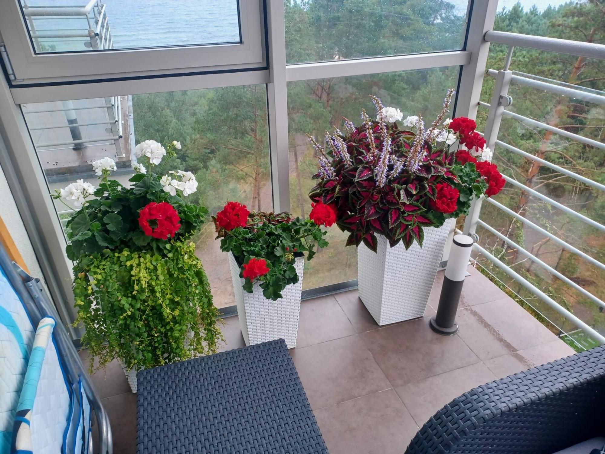 Apartament Z Widokiem Na Morze Дзівнувек Номер фото